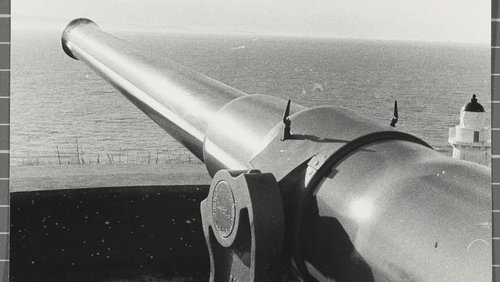 Armstrong Disappearing gun, Taiaroa Head