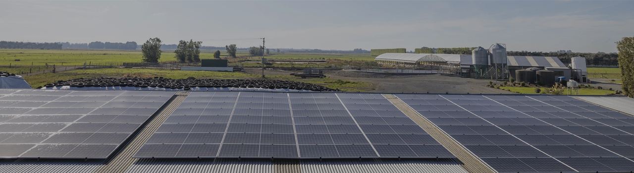 Climate Action_PowerOfSolar_WebBanner