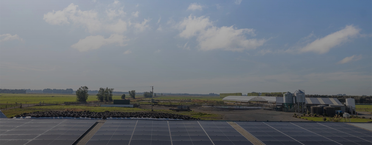 Climate Action_PowerOfSolar_HomeBanner-V2