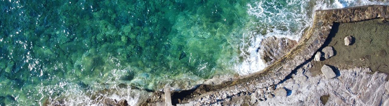 Coastal Drones