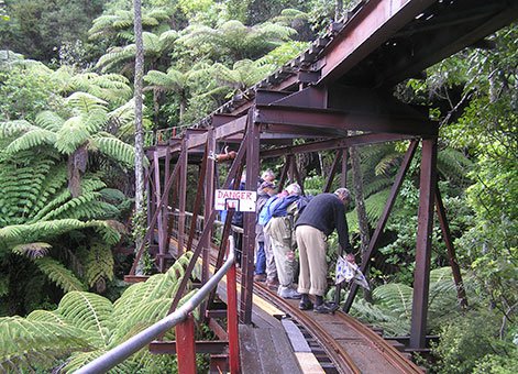 Driving Creek Railway 2