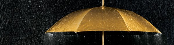 Resilience Requires Revolutionary Changes Engineering Nz