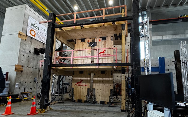 EG31_Timber_6