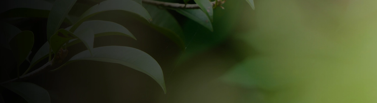 EG34_TaniaHyde_WebBanner