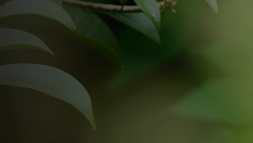 EG34_TaniaHyde_WebBanner