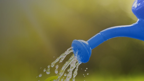 GrantProgramme_WebBanner