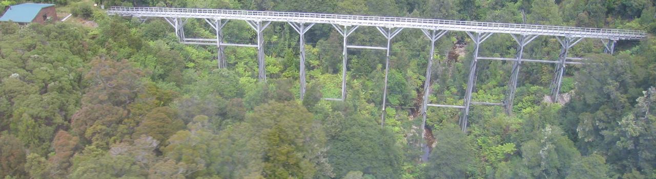 Percy Burn Viaduct ariel view