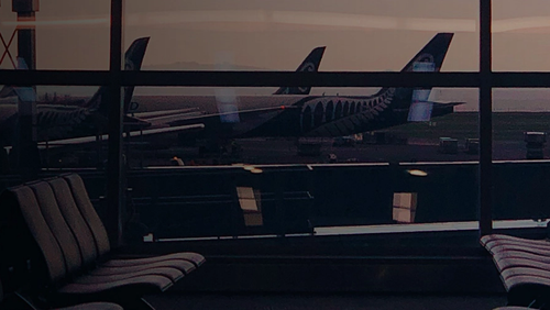 Immigration_WebBanner