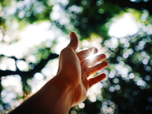 InternalCulture_Tile