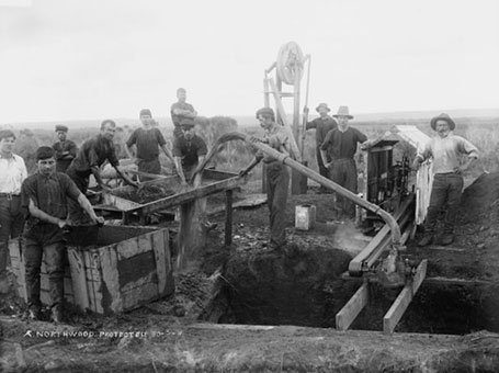 Kauri Gum Mining 3