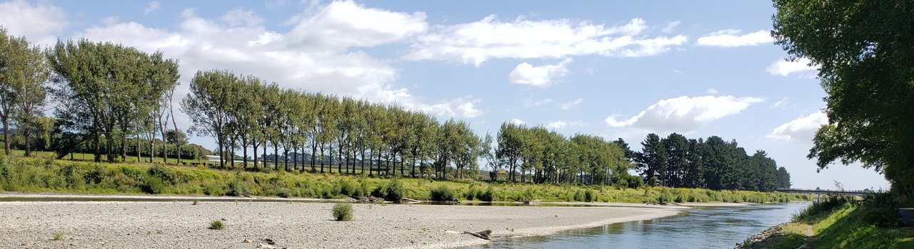 Manawatū AGM and Celebration