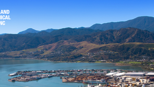 NELSON
