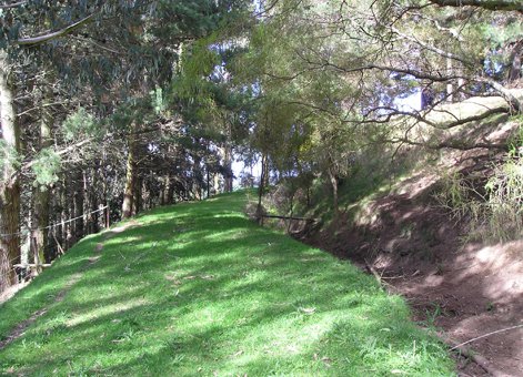 Oamaru Borough Council Public Water Supply Race