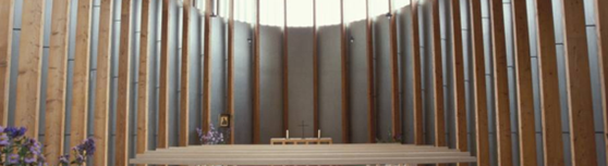 Picture1 (1)