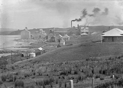 Portland Cement Works | Engineering NZ
