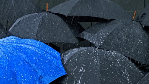 Protect Your Financial Plan - Web Banner Image