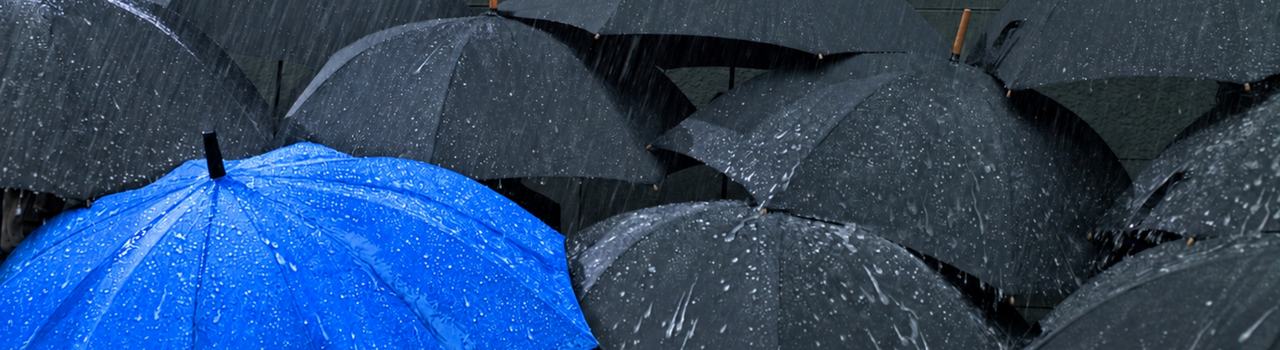 Protect Your Financial Plan - Web Banner Image