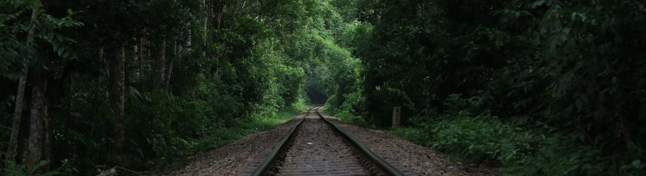 RTSA Train Track