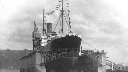 Ruahine floating dock