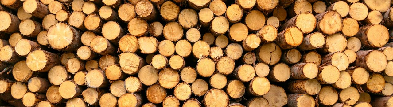 Timber EGP