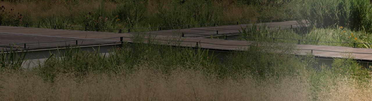 Watersmart_spongecity event banner