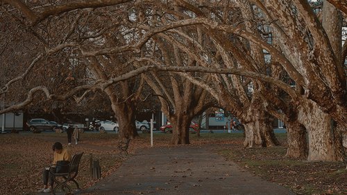 Watersmartarticle3_banner