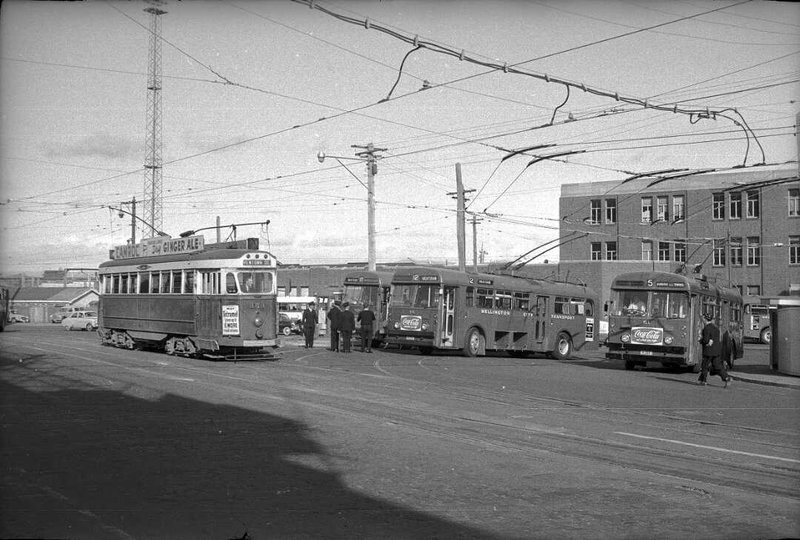 Wellington trolley buses