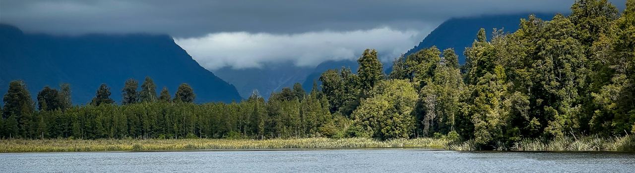 athithan-vignakaran-ifDsP9tPV4U-unsplash