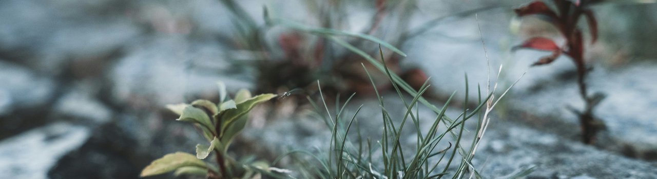 fabian-kleiser-CIdlJd0ZbrU-unsplash