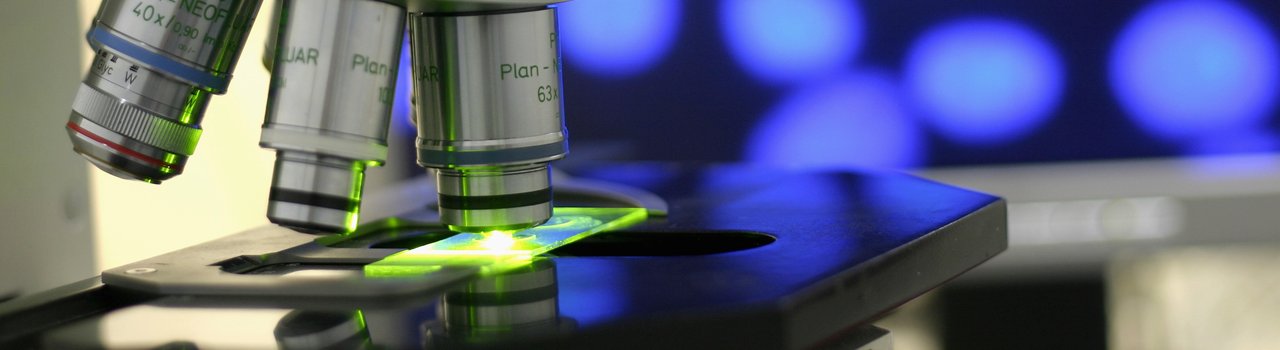 Lab