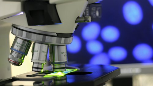 Lab