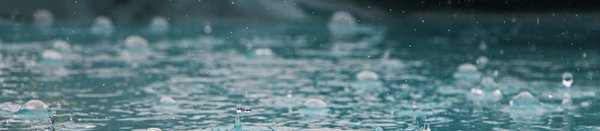 Stormwater experts needed for healthy waters | Engineering NZ