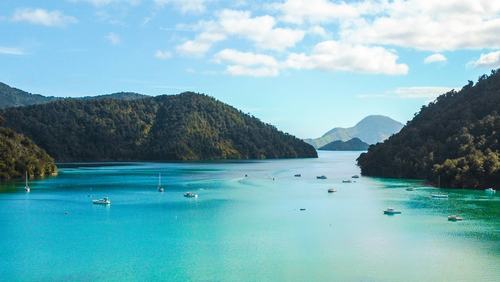 Marlborough Sounds - Unsplash