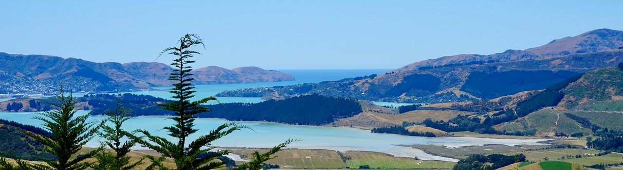 phill-brown-XN6Afrpb1CQ-unsplash