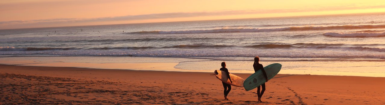 surf
