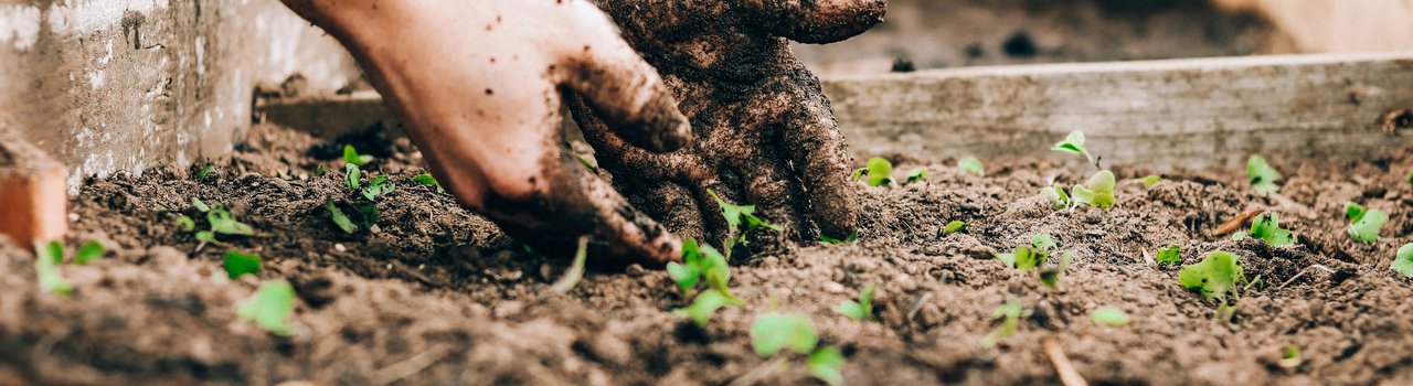 sandie-clarke-q13Zq1Jufks-unsplash