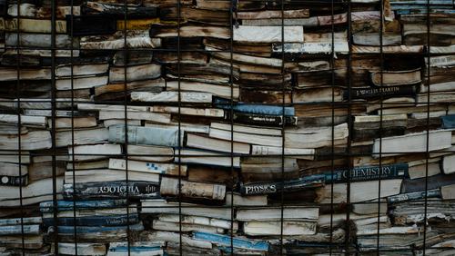 thomas-ho-qm5SwI3nYoQ-unsplash