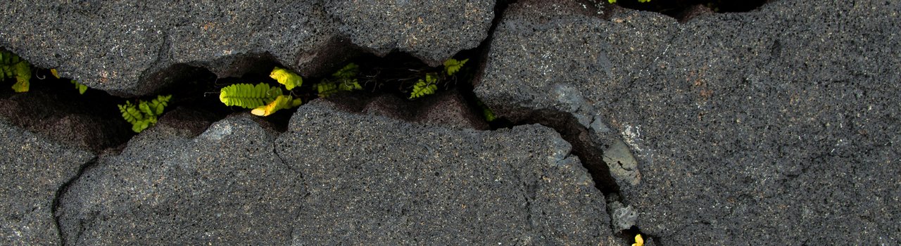 timon-studler-_aKScUIltwk-unsplash