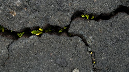 timon-studler-_aKScUIltwk-unsplash